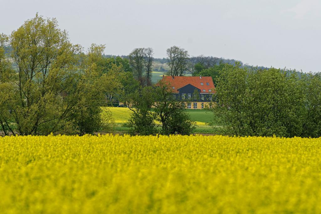Landhaus Heidekrug Hildesheim Buitenkant foto